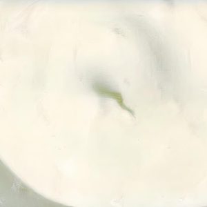 House Mayonnaise